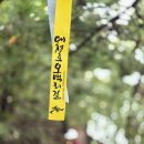 대청호오백리길 두메마을길 | [대청호오백리길] 1구간, 두메마을길 (&#39;24.10.19.)