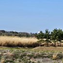 맘스케익 이미지