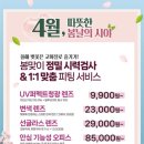 구리으뜸 네이버블로그