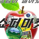 쿵푸마켓