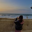 너한쌈나한쌈 이미지