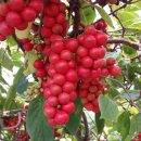 자림농장 이미지