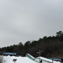 안성맞춤랜드 | 안성맞춤랜드 안성시 사계절 썰매장 눈썰매 후기