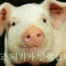 가락로11길 네이버블로그