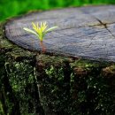 킹당구클럽 이미지