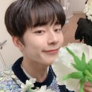 리틀 아메리카 이미지