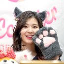 도리도리 이미지