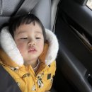 리틀비틀(동춘점) 이미지