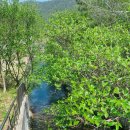 해평호주차장 이미지