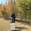 유한회사대한스틸 | 20인치 캐리어 기내용 사이즈 기내반입 캐리어 스틸박스