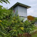 대부농장 이미지