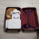 (주)위드랩 | 네일 실기시험 원패스 합격후기(with. 당산역 한국능력개발직업전문학교)