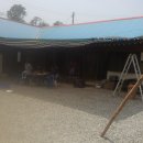 효정농장(2) 이미지