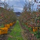 구룡부동산중개 이미지