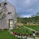 소주고개로닭갈비 이미지