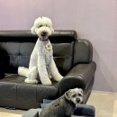 피플펜션 이미지