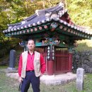 삼 인 이미지