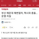 해운대 관광열차 택시 사고 내부 블랙박스 이미지