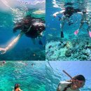 우림목장 이미지