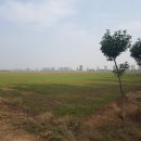 NR-22[동주로]-상-230 | 동주왕릉(2): 『낙양고성고묘고』(1) "TOMBS OF OLD LO-YANG" 《洛陽故城古墓考》 《洛阳故城古墓考》