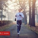 포식코리아 이미지