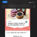 사파리마케팅