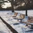 공공 행정사사무소 이미지