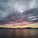 오션PC랜드 이미지