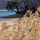 회동농장 이미지