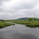 순리 이미지