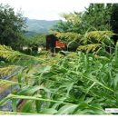 한성아파트 옆 버스정류장 이미지