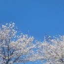 나의 별 이미지