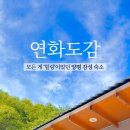 숲속의연화펜션