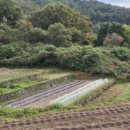 삼태리농장 이미지