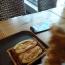 첨단브런치카페 커피콩볶는샌드위치 콩샌첨단점 방문후기