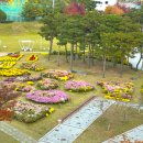 신서중앙공원 이미지