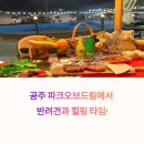 캠핑파크 | 공주 애견 동반 캠핑 파크오브드림 실제 후기