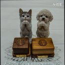 누리펫