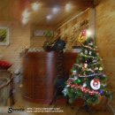 별빛소나타 이미지