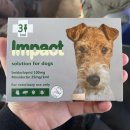 보룡약국 이미지