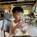잔디밭 | 군산 개정 카페 추천｜아이랑 가기 좋은 잔디밭 카페 쿠보 후기💛