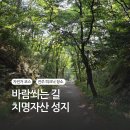치명자산대여소 | 치명자산 성지 전주 피크닉 장소 추천, 바람쐬는길 자전거 코스도 있어요