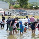 괴산올갱이 이미지