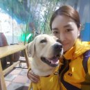 행복한집펜션 이미지