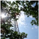 운교1리 이미지