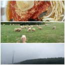 해병목장 이미지