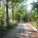 미소황토불가마 펜션 이미지