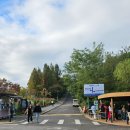 [공지] 서울 경치 명소 하늘공원 억새풀 축제 오픈런 후기 맹꽁이 열차 주차