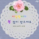 안*식 이미지