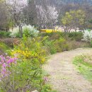 문경새재 생태미로공원 이미지